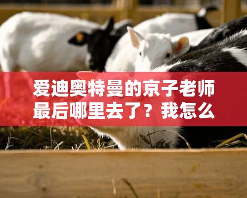 爱迪奥特曼的京子老师最后哪里去了？我怎么看不到，急求？