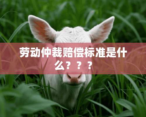 劳动仲裁赔偿标准是什么？？？