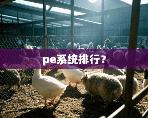 pe系统排行？