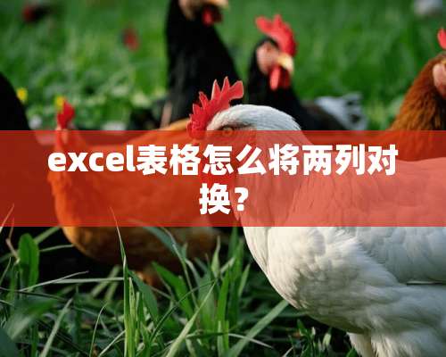 excel表格怎么将两列对换？