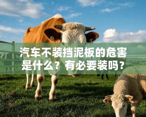 汽车不装挡泥板的危害是什么？有必要装吗？