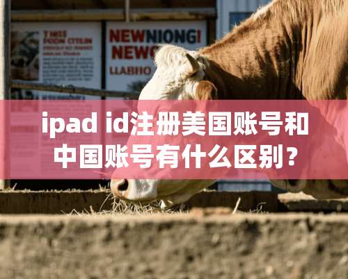 ipad id注册美国账号和中国账号有什么区别？