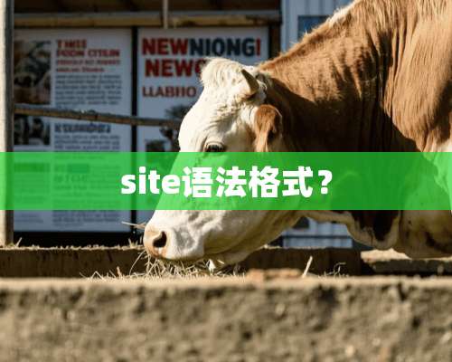 site语法格式？