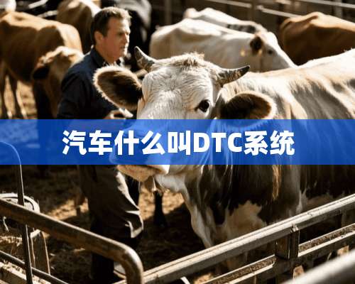 汽车什么叫DTC系统