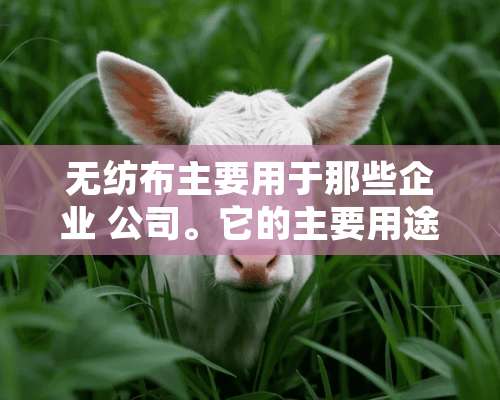 无纺布主要用于那些企业 公司。它的主要用途在什么地方