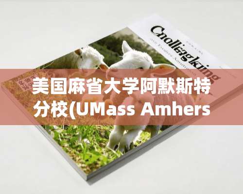 美国麻省大学阿默斯特分校(UMass Amherst)优势的地方有什么？