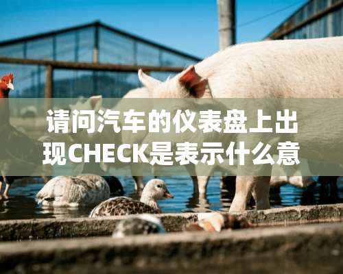 请问汽车的仪表盘上出现CHECK是表示什么意思？[