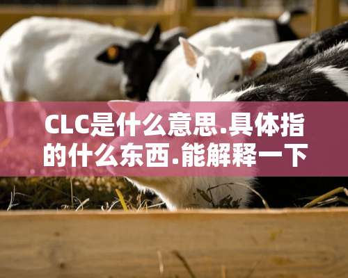 CLC是什么意思.具体指的什么东西.能解释一下