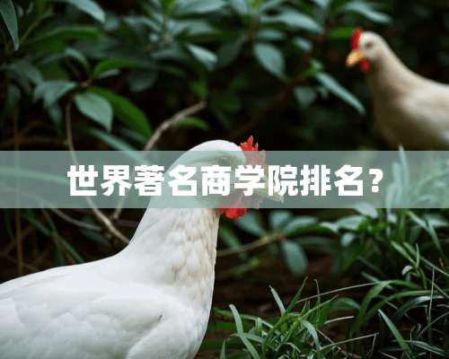 世界著名商学院排名？