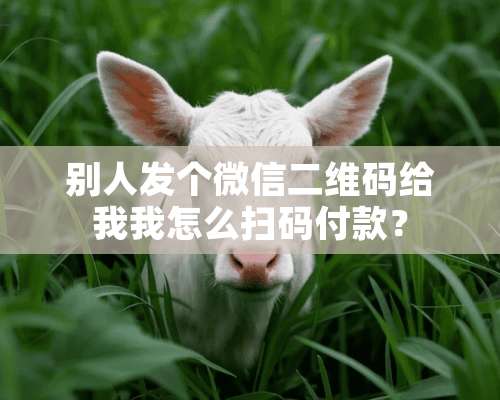 别人发个微信二维码给我我怎么扫码付款？