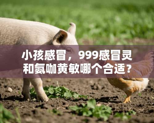 小孩感冒，999感冒灵和氨咖黄敏哪个合适？