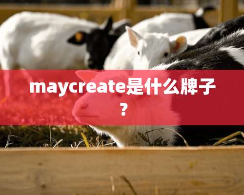 maycreate是什么牌子？