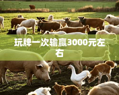 玩牌一次输赢3000元左右