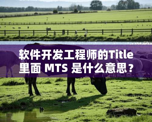 软件开发工程师的Title里面 MTS 是什么意思？MTS 1