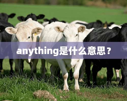 anything是什么意思？