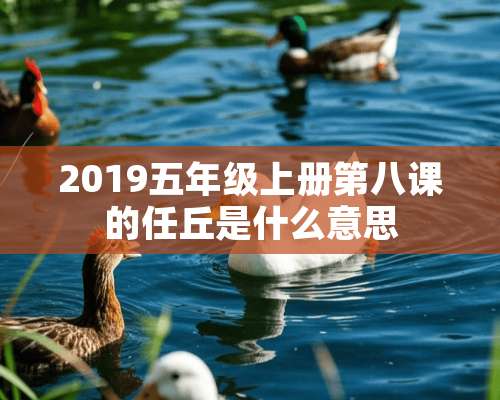 2019五年级上册第八课的任丘是什么意思