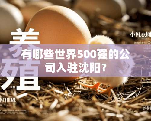 有哪些世界500强的公司入驻沈阳？