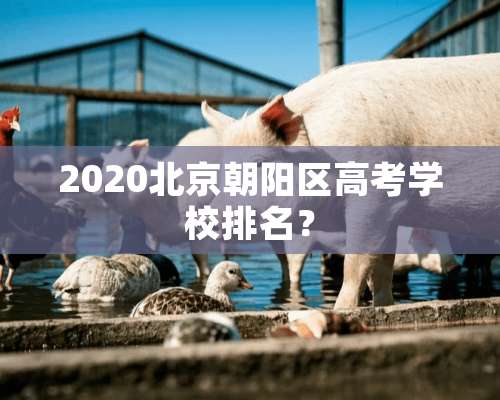 2020北京朝阳区高考学校排名？