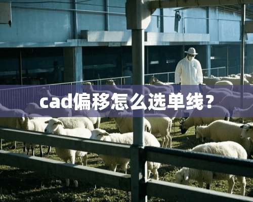 cad偏移怎么选单线？