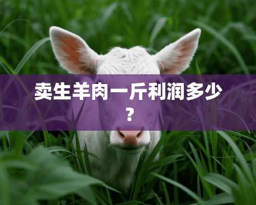 卖生羊肉一斤利润多少？