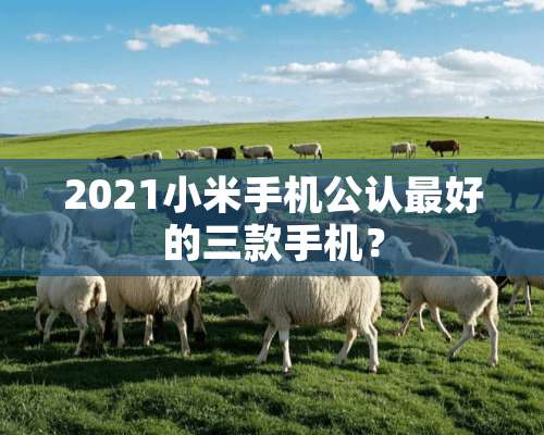 2021小米手机公认最好的三款手机？