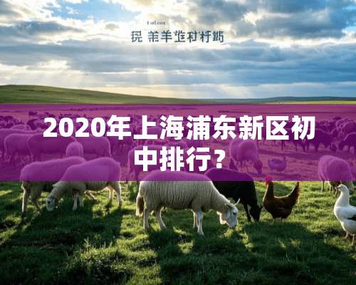 2020年上海浦东新区初中排行？