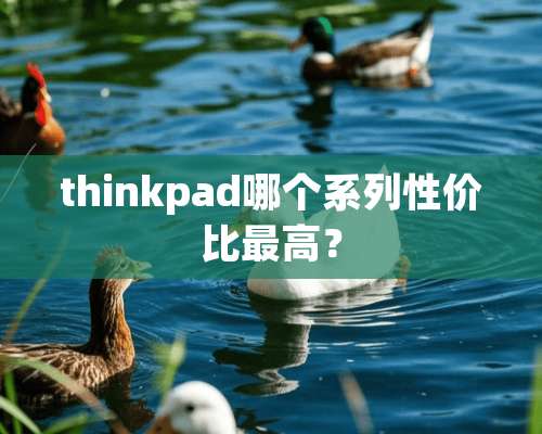 thinkpad哪个系列性价比最高？