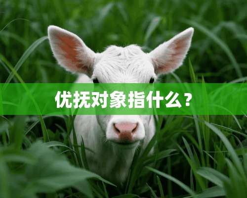 优抚对象指什么？