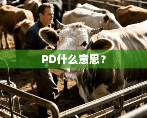 PD什么意思？