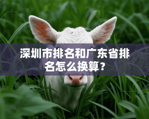 深圳市排名和广东省排名怎么换算？