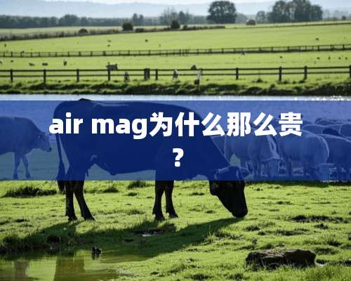 air mag为什么那么贵？