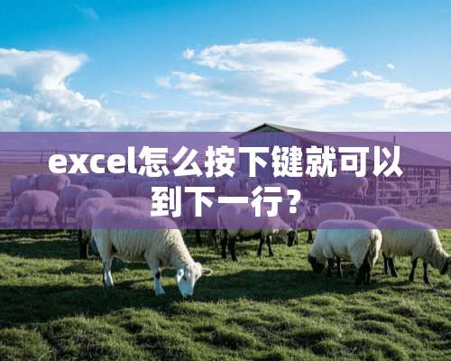 excel怎么按下键就可以到下一行？