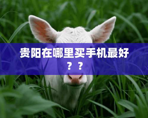 贵阳在哪里买手机最好？？