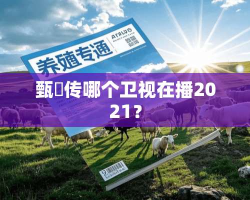 甄嬛传哪个卫视在播2021？