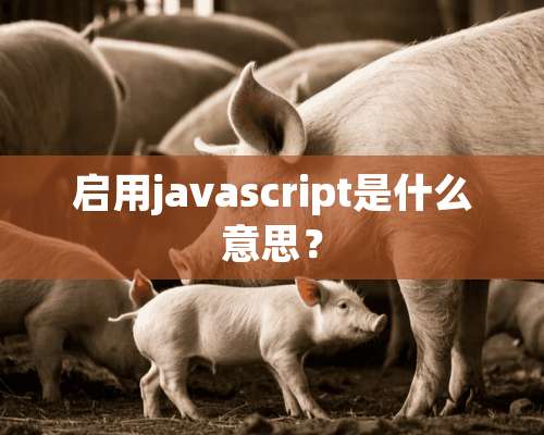 启用javascript是什么意思？