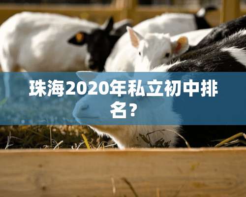 珠海2020年私立初中排名？