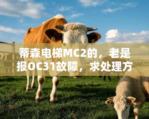 蒂森电梯MC2的，老是报OC31故障，求处理方法。具体点，谢谢。