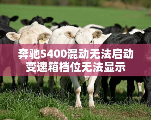 奔驰S400混动无法启动变速箱档位无法显示