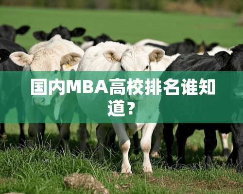 国内MBA高校排名谁知道？