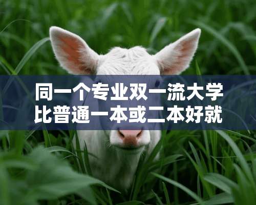 同一个专业双一流大学比普通一本或二本好就业吗？