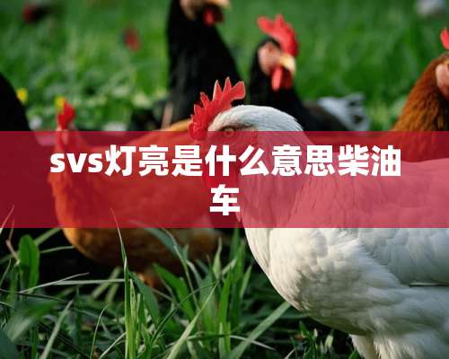 svs灯亮是什么意思柴油车