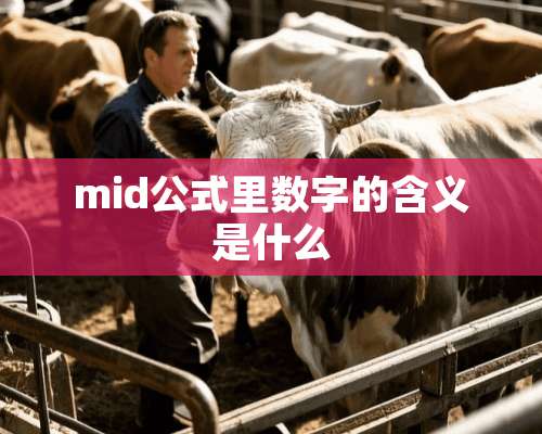 mid公式里数字的含义是什么