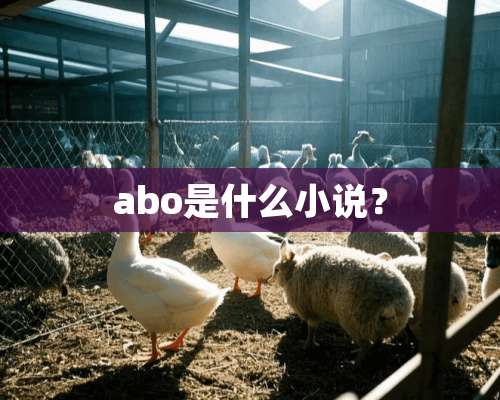 abo是什么小说？