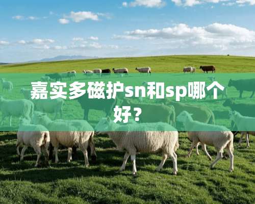 嘉实多磁护sn和sp哪个好？