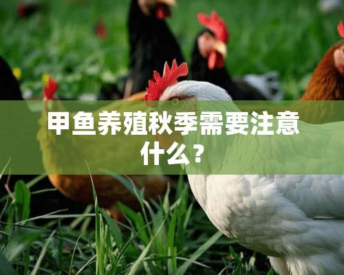 甲鱼养殖秋季需要注意什么？