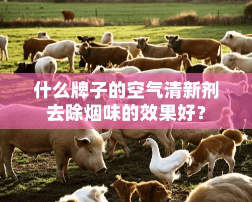 什么牌子的空气清新剂去除烟味的效果好？