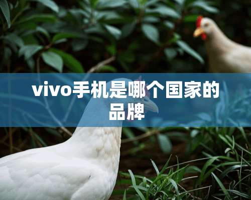 vivo手机是哪个国家的品牌