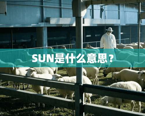 SUN是什么意思？