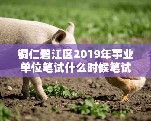 铜仁碧江区2019年事业单位笔试什么时候笔试？