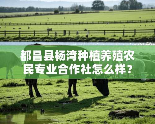 都昌县杨湾种植养殖农民专业合作社怎么样？